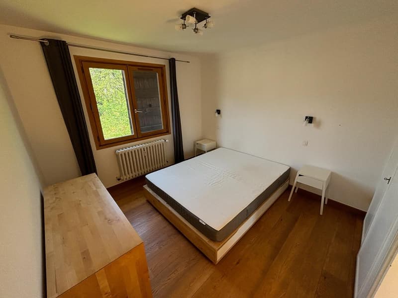 Magnifique appartement à Megève (5)