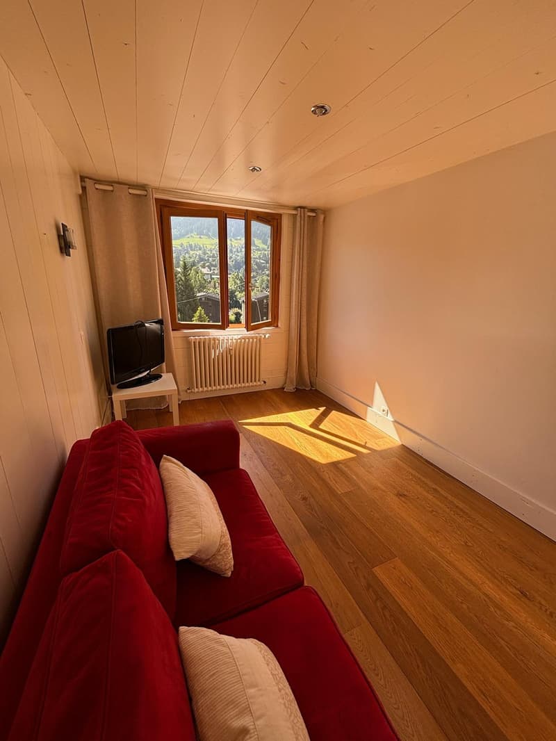Magnifique appartement à Megève (13)