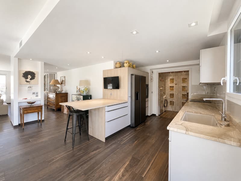 Annecy Triangle d'Or Attique d'exception et terrasse de 141 m² (7)