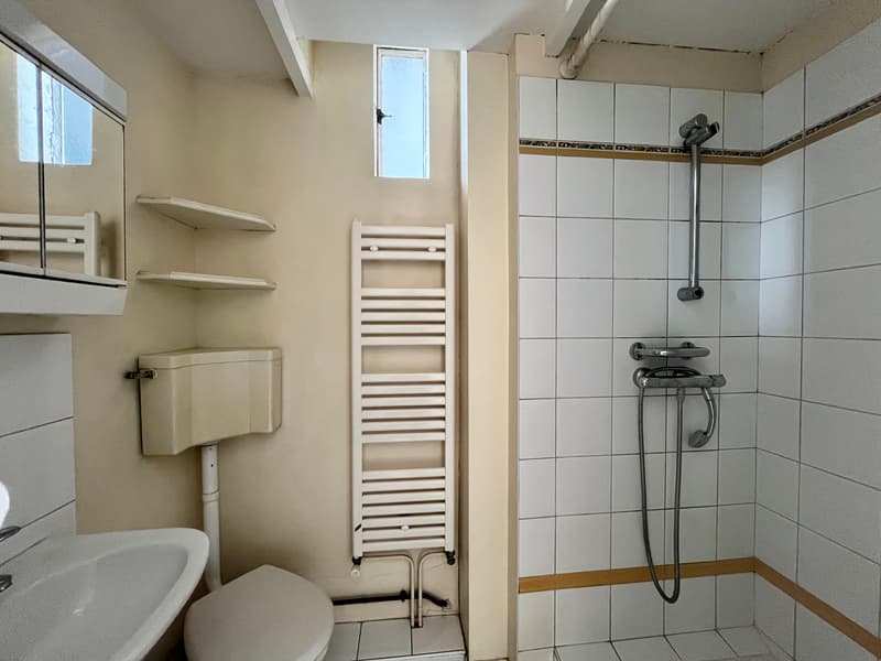 EXCLUSIVITE - T2 de 59,13m2 (loi Carrez) - 3ème étage (9)