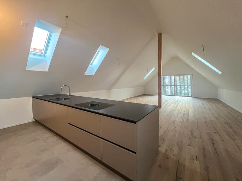 Grosszügige Dach-Maisonette mit Lift direkt in die Wohnung – Neubau in Aesch ZH (2)