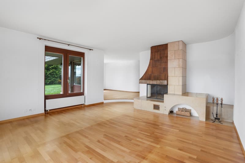 empty room, fireplace, wooden floor, glass doors, white walls