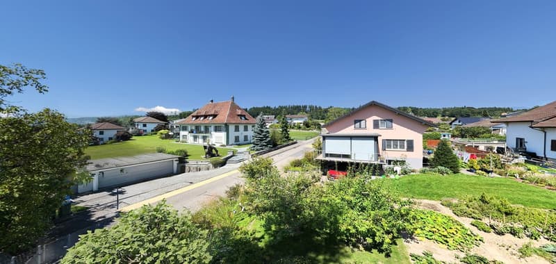 4.5-Zimmer-Wohnung mit Abendsonne in Orpund kaufen (11)