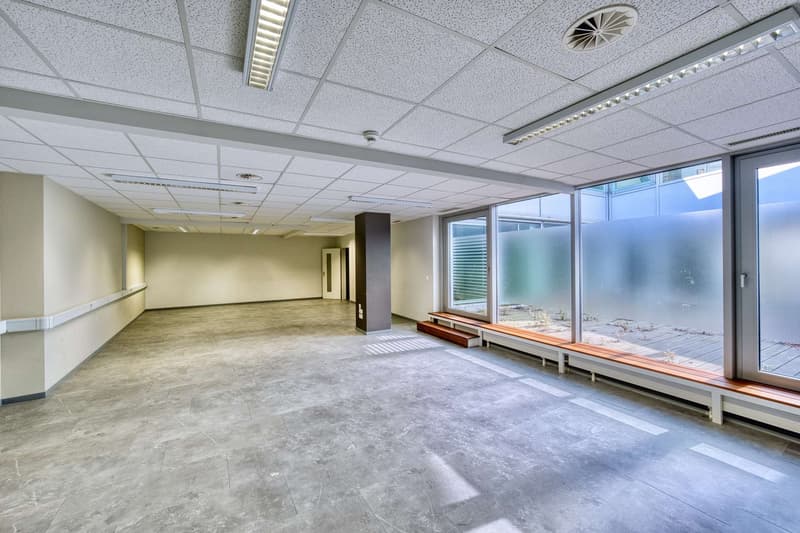 Spacious office space in the heart of Basel - 420 m2 (2)