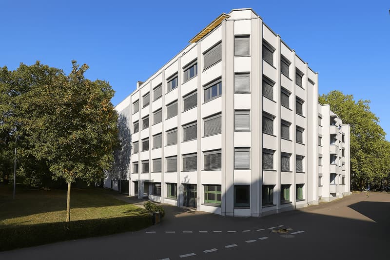 Büro am Steinengraben 55 in Basel