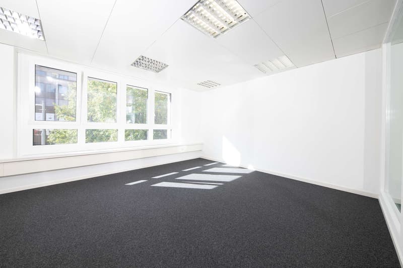 Büro Steinengraben 55 in Basel