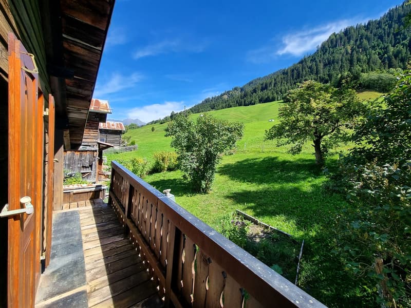 4.5-Zimmer-Haushälfte in idyllischem Bergdorf (13)