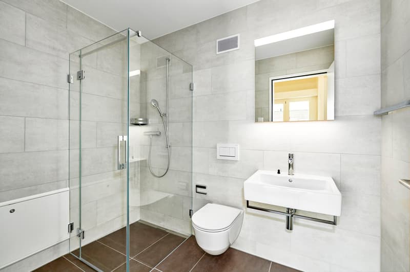 Moderne Dachwohnung (7)