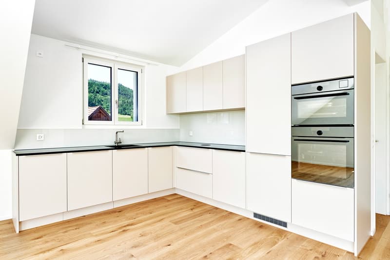 Moderne Dachwohnung (6)