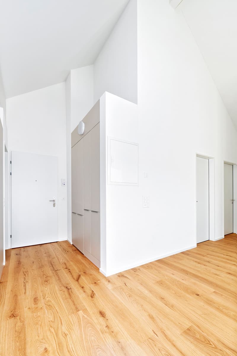 Moderne Dachwohnung (9)