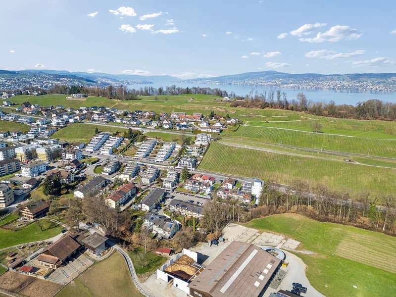 Casa a schiera curata con giardino a Wilen bei Wollerau (28)