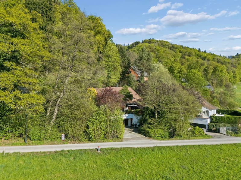 Villa in Stallikon – Private Nature. Pure Character. (55)