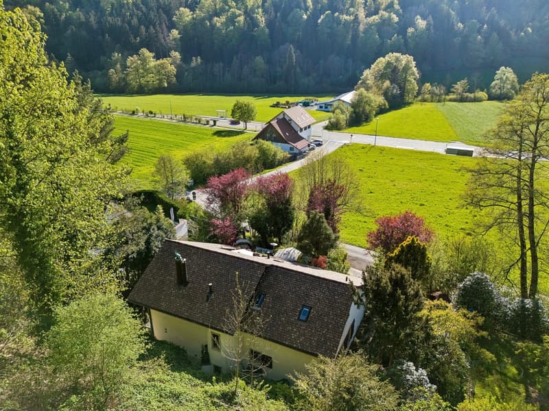 Villa in Stallikon – Private Nature. Pure Character. (56)