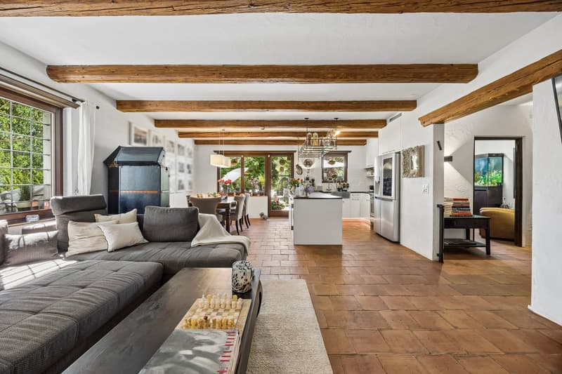 Villa in Stallikon – Private Nature. Pure Character. (4)