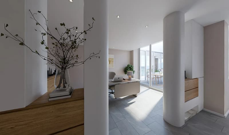 Luxury 5.5 Room Penthouse Residence with Generous Rooftop Terrace (17)
