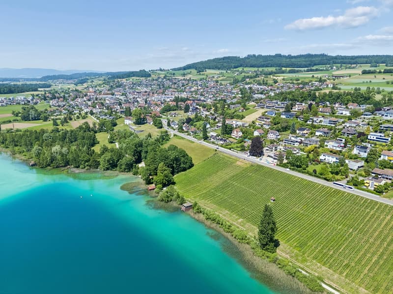 Exklusive Neubauvilla mit Pool und Seeblick (42)