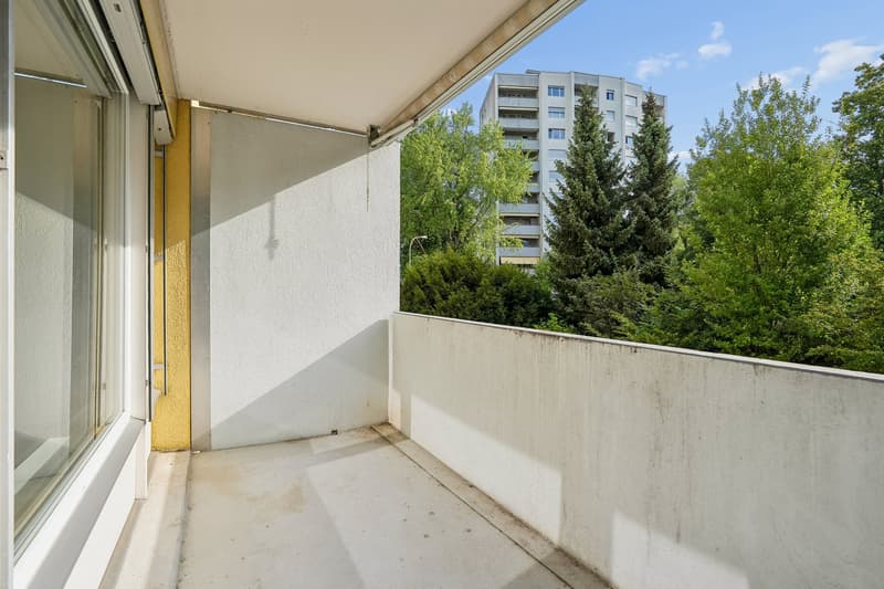 Grosszügige 4.5-Zimmer-Wohnung mit zwei Balkonen (22)