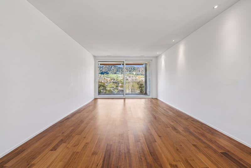 4.5 Zimmer mit Weitblick in Adliswil (8)