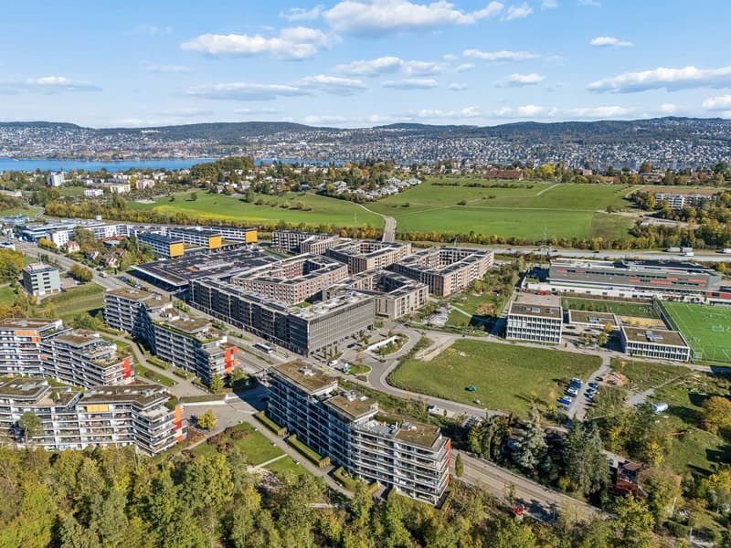 4.5 Zimmer mit Weitblick in Adliswil (32)