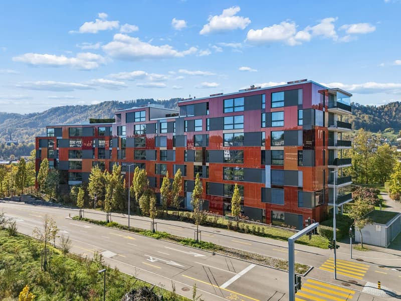 4.5 Zimmer mit Weitblick in Adliswil (36)