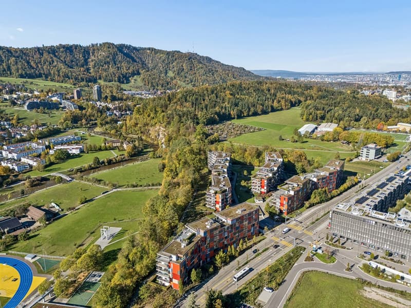 4.5 Zimmer mit Weitblick in Adliswil (31)