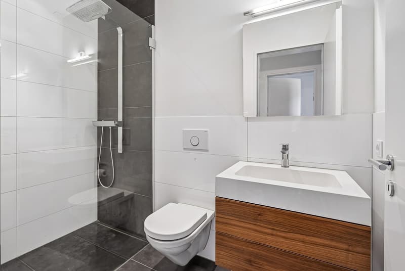 4.5 Zimmer mit Weitblick in Adliswil (23)