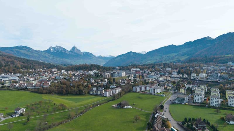 Arth - Goldau