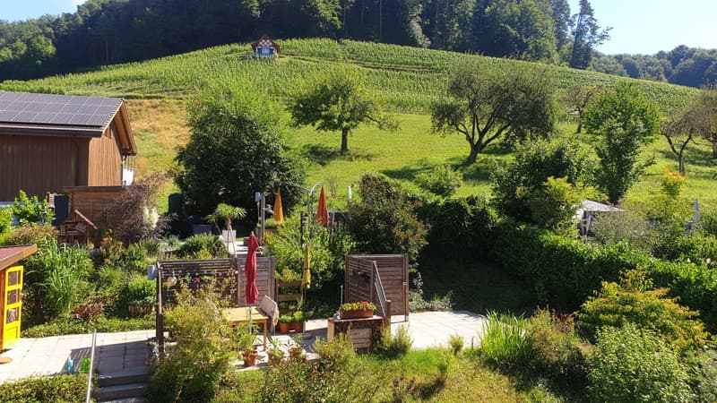 Wohnen wie im Einfamilienhaus  mit Gartensitzplatz (2)