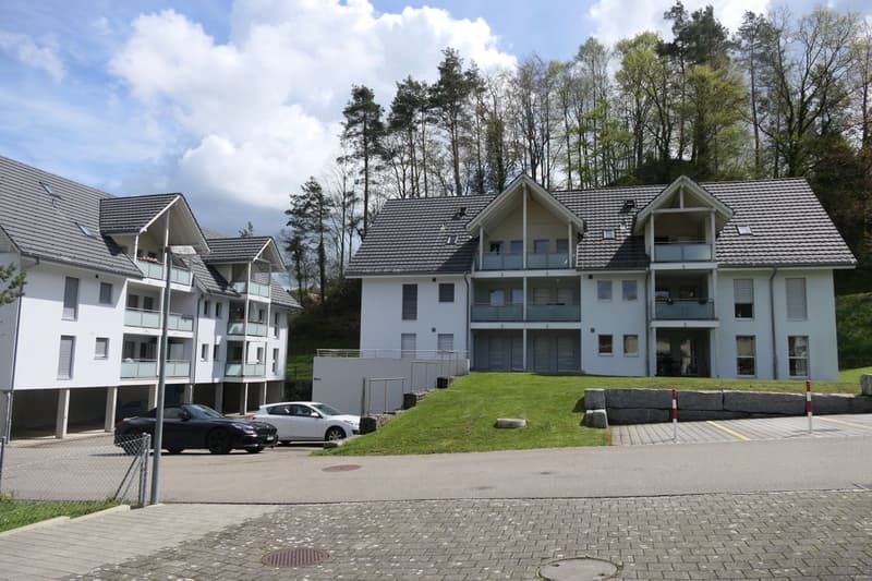 Moderne 4.5-Zimmer Dach-Maisonette-Wohnung in idyllischer Lage (1)