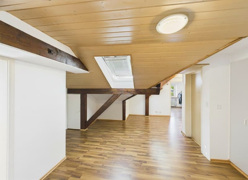 Bezahlbare Dachwohnung für Singles (3)