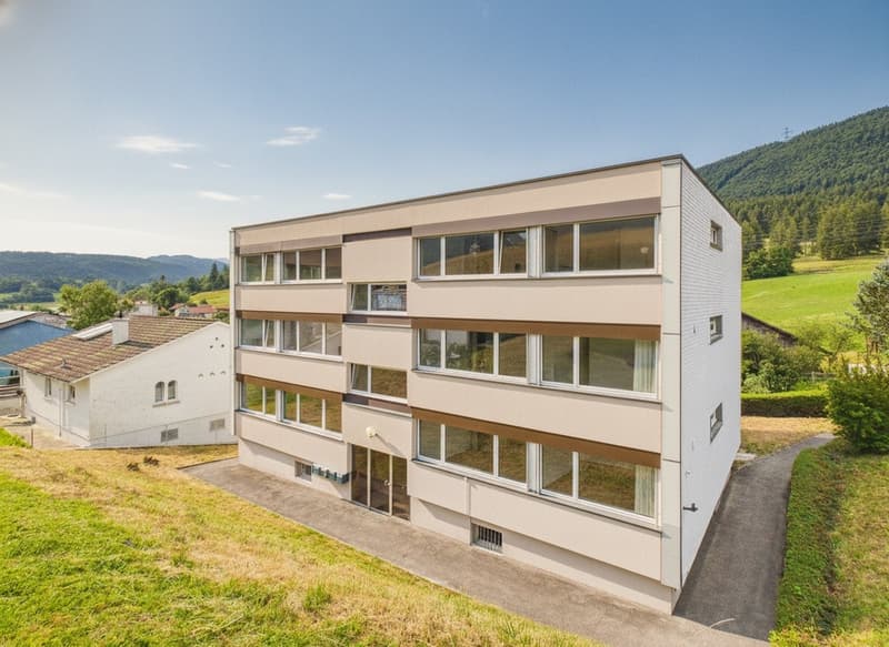 Saniertes Mehrfamilienhaus mit 5.4 % Bruttorendite (1)