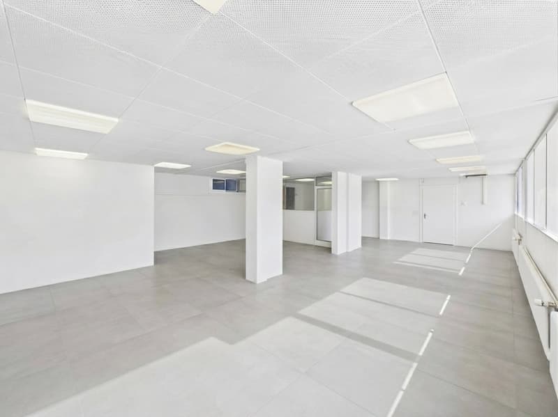 Ihre Geschäftsadresse an der Hauptstrasse – Gewerbefläche mit hoher Sichtbarkeit (1)