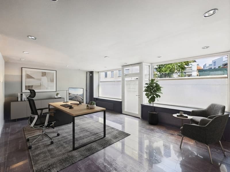 Stilvolles Wohn- und Geschäftshaus in Olten – Wohnen, Arbeiten & Entwicklungspotenzial (9)