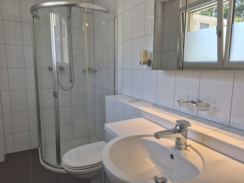 4,5 Zimmer-Reiheneckhaus mit unverbaubarer Aussicht am Sonnenhang von Liestal (7)