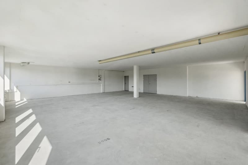 Zweckmässige Gewerbeflächen in attraktivem Umfeld (2)