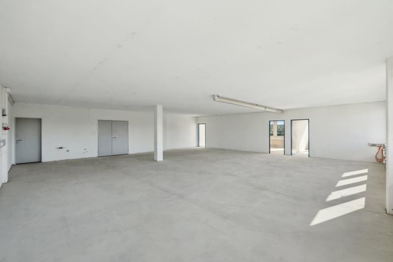 Zweckmässige Gewerbeflächen in attraktivem Umfeld (6)
