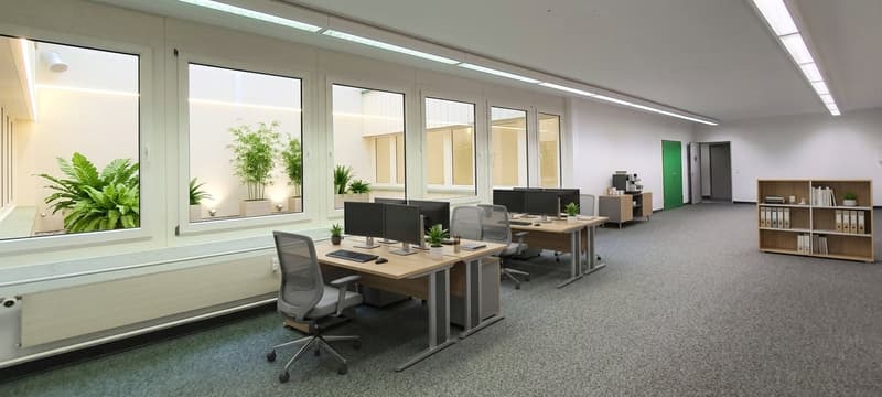 Zweckmässige Gewerbeflächen in attraktivem Umfeld (3)