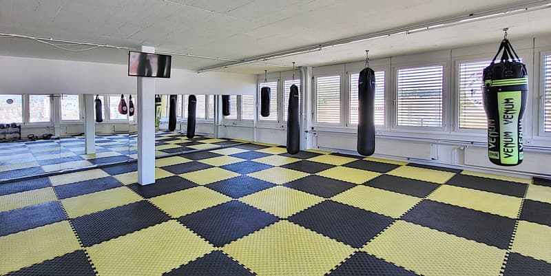 Zweckmässige Gewerbeflächen in attraktivem Umfeld (3)