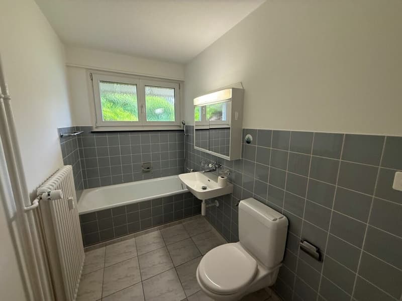 3.5 Zimmerwohnung mit Sitzplatz (4)