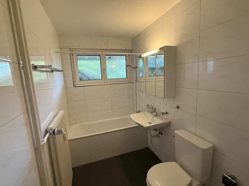 3.5 Zimmerwohnung mit Sitzplatz (4)