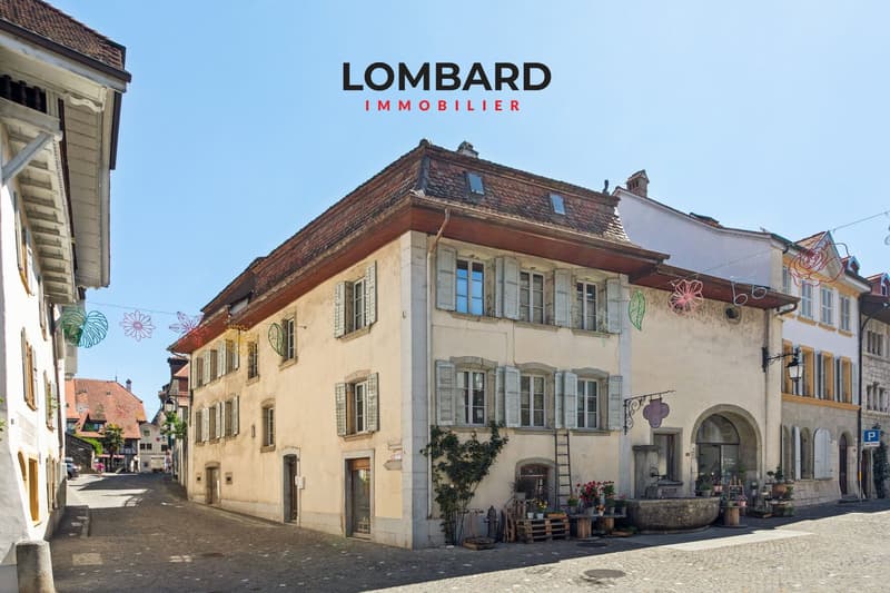 Magnifique duplex de 5.5 pièces au cœur d’Estavayer-le-Lac (10)