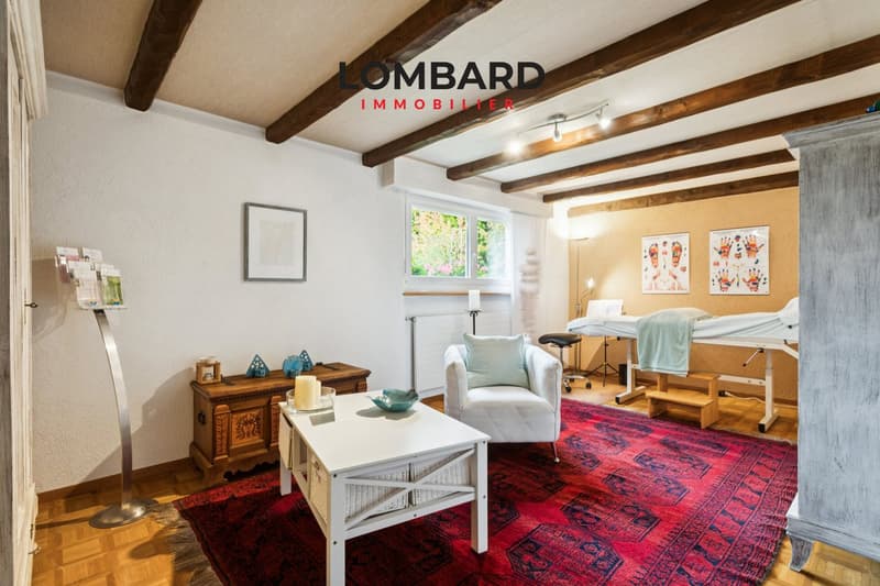 Maison individuelle avec jardin clôturé et arboré (8)