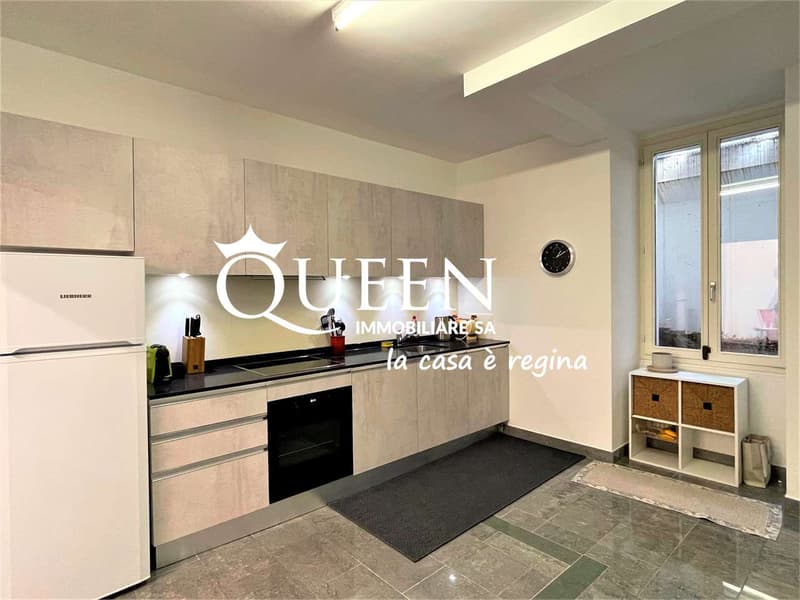 Lugano centro: appartamento 5 locali, 190 mq, giardino privato, portic (8)
