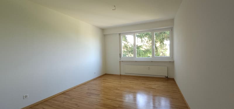 Zimmer