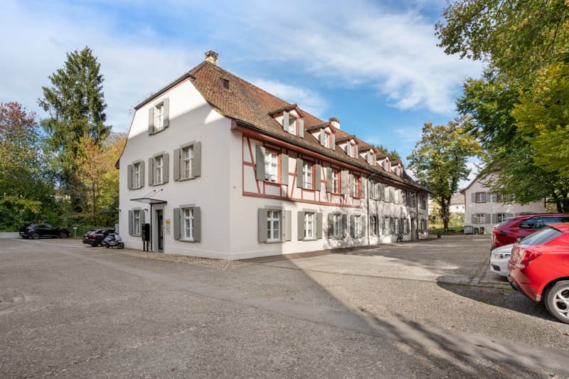 Neubadrain 4