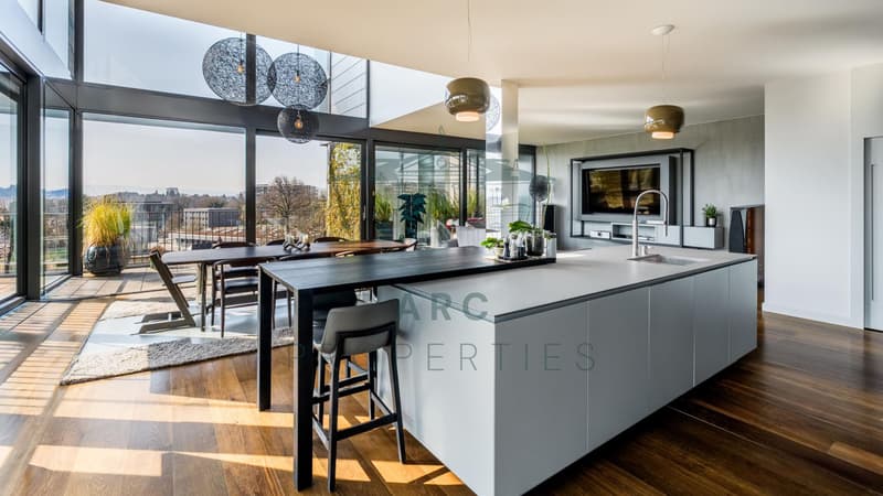 CHARMILLES ? ATTIQUE TRIPLEX D'EXCEPTION AVEC TERRASSE PANORAMIQUE (2)