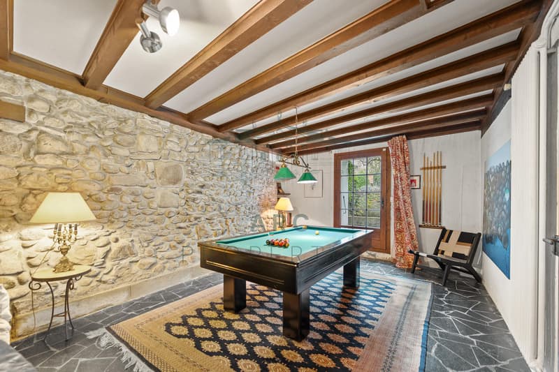 HERMANCE - MAGNIFIQUE MAISON VILLAGEOISE AVEC PISCINE (4)