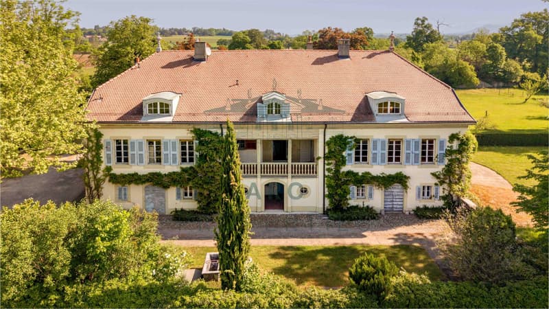 VAND?UVRES - MAISON DE MAÎTRE SUR UNE GRANDE PARCELLE DE PLUS DE 10'000 M2 (2)