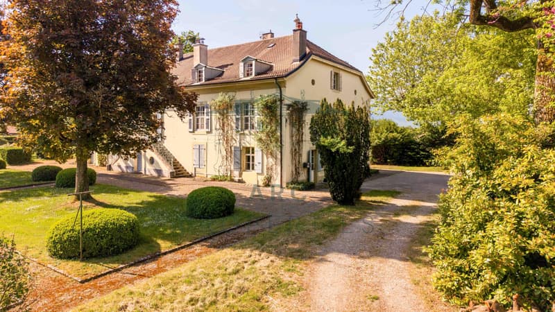 VAND?UVRES - MAISON DE MAÎTRE SUR UNE GRANDE PARCELLE DE PLUS DE 10'000 M2 (5)