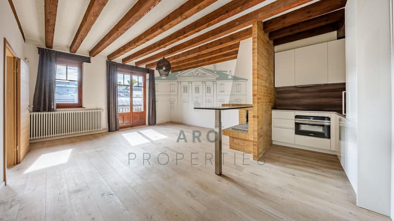 EAUX-VIVES - APPARTEMENT ENTIÈREMENT RÉNOVÉ (1)